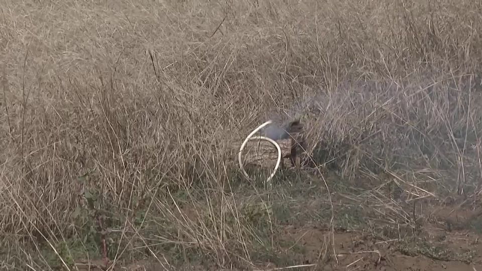 �� ��������� ����������� � ����������� ������� ������ ��������������� ������������ ������� ���������� ��� ��������� ������������ � ���������� ����� 50 ��� � ������������� ��������� ����������