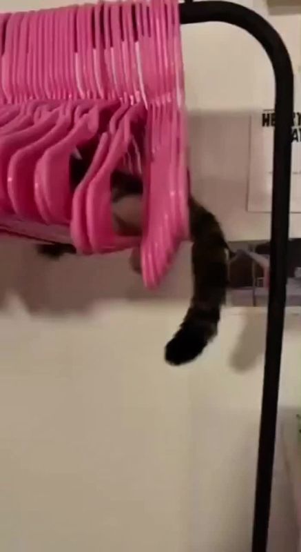 ��� ���� ���� ������� � �����