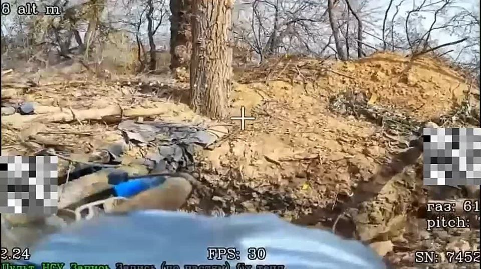 ��������� ������ 291 ������������ ��������������� ����� ���������� ������ � ������� ����� � ����� �.�. �������������