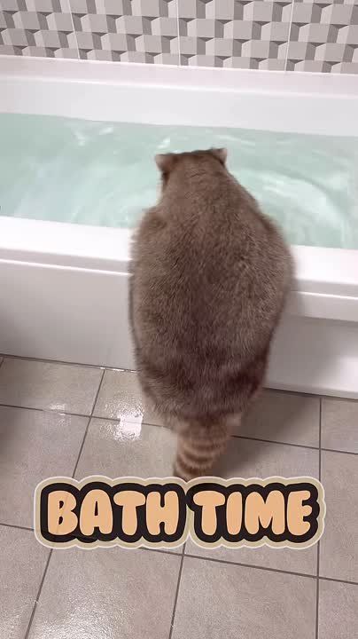 ������ ����, ������! �������� ��� ��� � ��������� ����������!