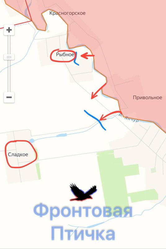 Запорожское направление. Продвижение ВС РФ