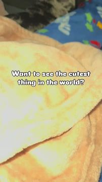 Доброй ночи, дорогие подписчики! Доброй ночи, Запорожье!