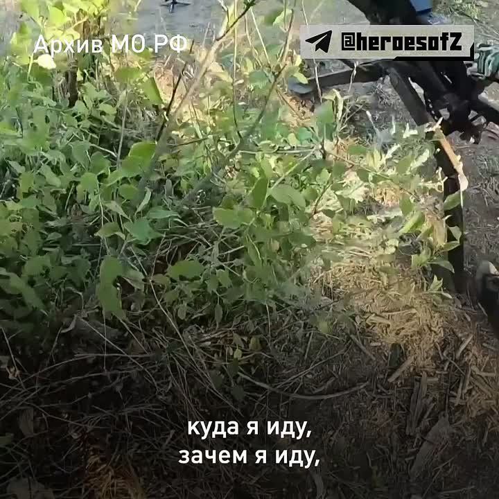 ����� ����� � �����, � ������ �����. ��������: "� ���� ���� �������, � ���� ���� �������� ����"�