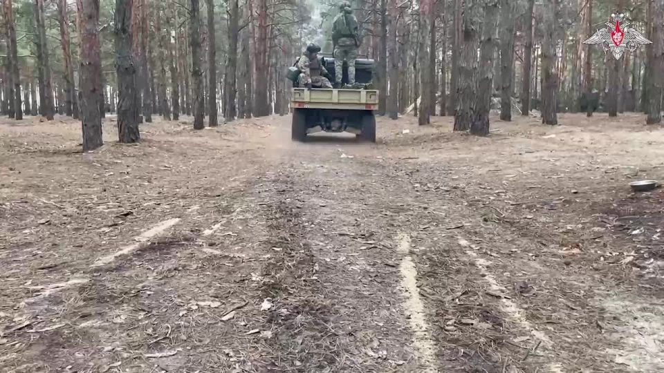 ������ ���� ������ 80-� ��������� �������������� ������� (�����������) ��������� ������������ ��������� ���� � ��������� ���� ������ ������ � ���������� �������
