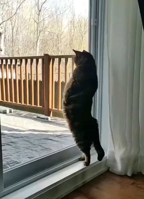��� � ��������� �������. ����� ��������� ��������