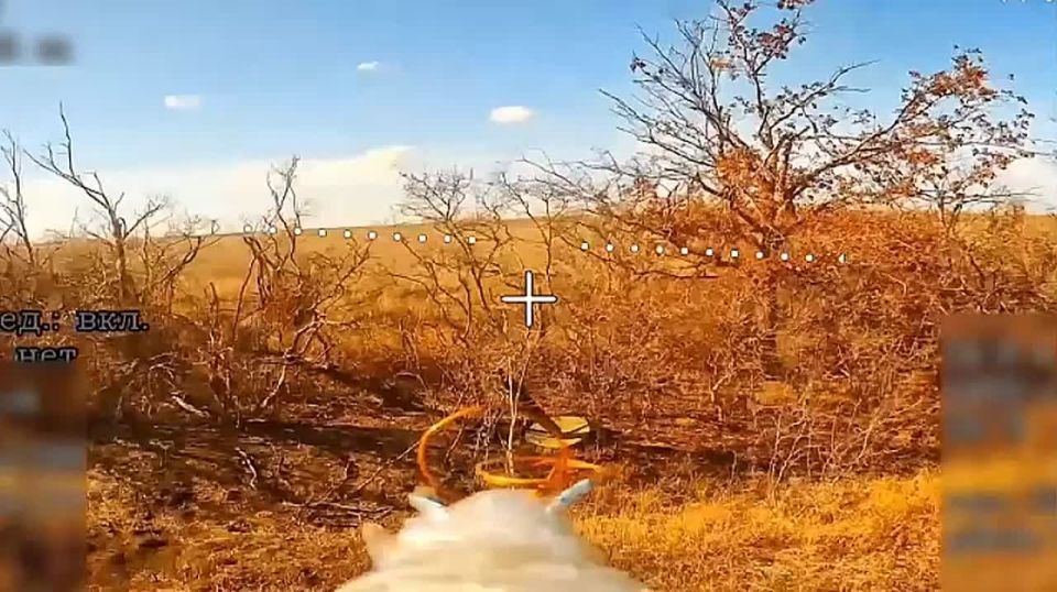 ��������� ������ 74 ��������������� ����� ���������� ������� ���������� �������� ��. ����� ��������
