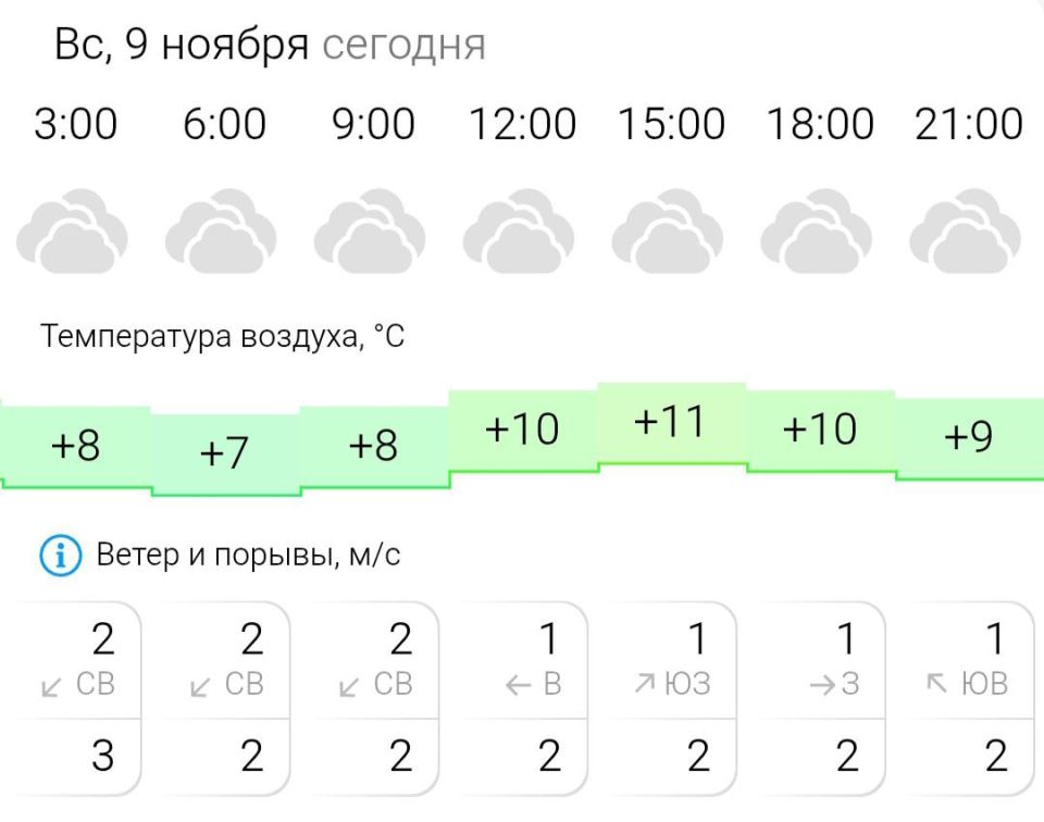 ПРОГНОЗ ПОГОДЫ. В воскресенье, 9 ноября в Энергодаре пасмурно