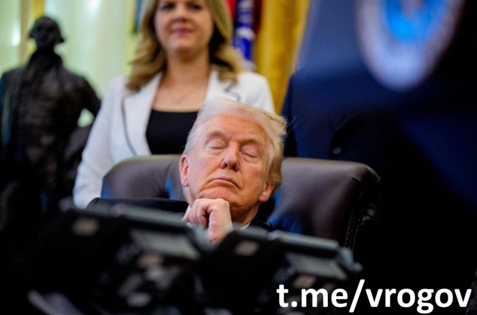 Владимир Рогов: Дремлет Дональд у дороги, Снятся Трампу перемоги