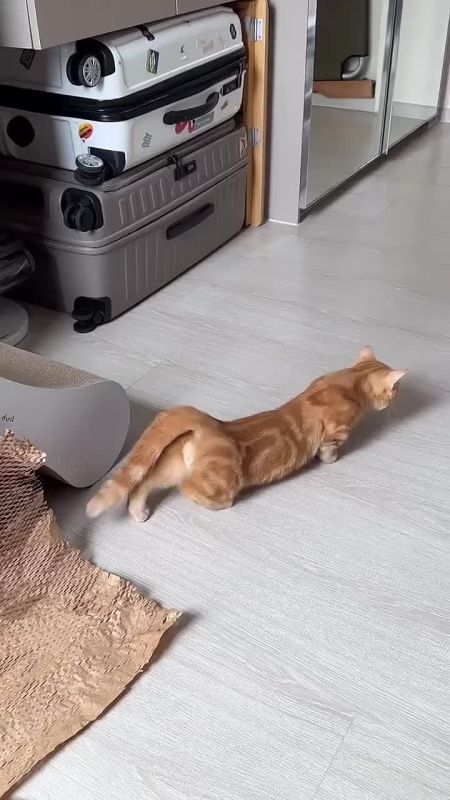 �������� � �������� �������� ����