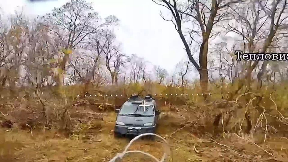 ����� �� �������� ������� ���������� �� ���� ����������� 5 ����� � ����������� �������
