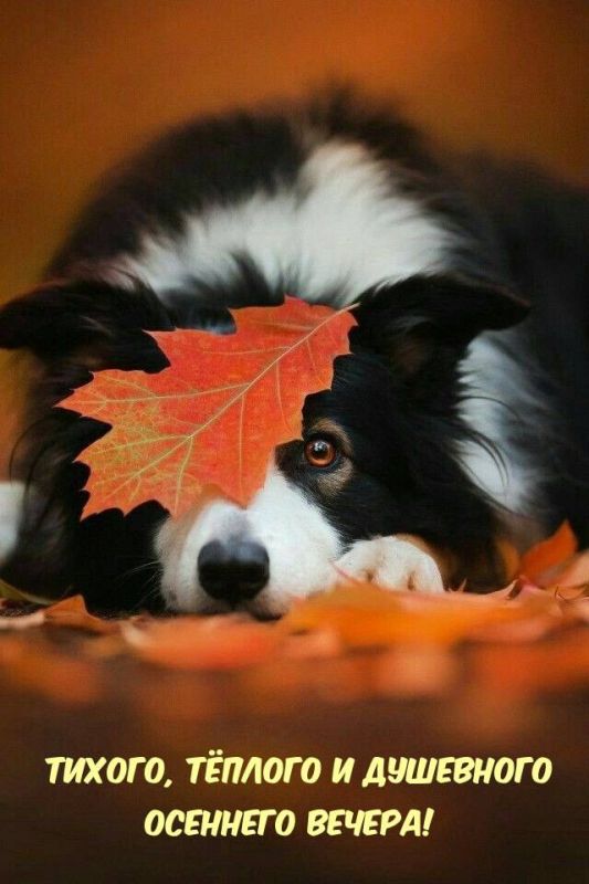 Друзья!. Понедельник незаметно подошел к завершению