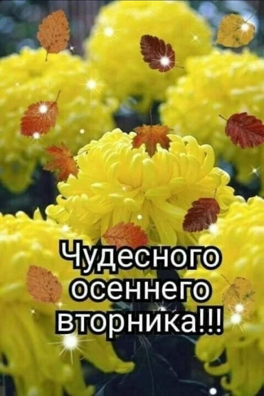 Доброе утро, Днепрорудное. Пусть каждый момент этого дня будет счастливым