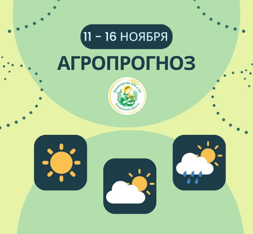 ������ ������: ����������� | 11 � 16 ������