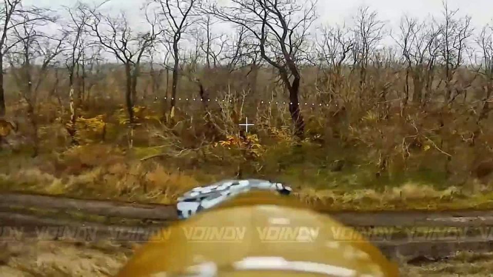 ���������� ������ ������ �� ����� ���������� 5 ����� ����������� ����� "������"
