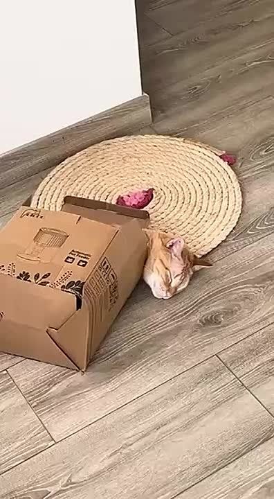 � ��� � ����� ��������. ����� ����� � ��������� ���, ��� �� ����� �� �������