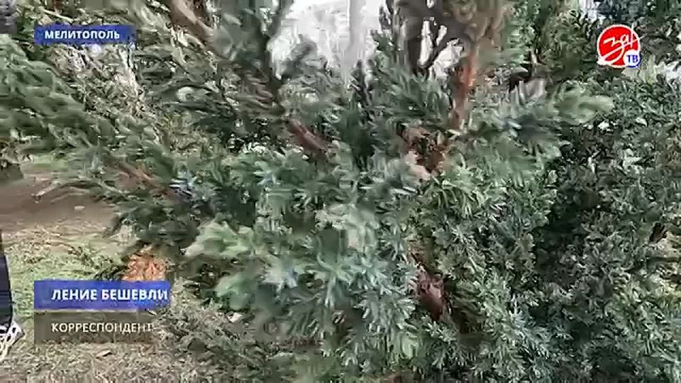 ������� �������� ������� �������� �������� ����� 50-����� ������ � ����������