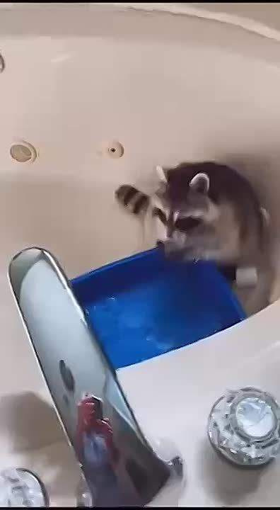 ������ ����, ������! �������� ��� ��� � ��������� ����������!