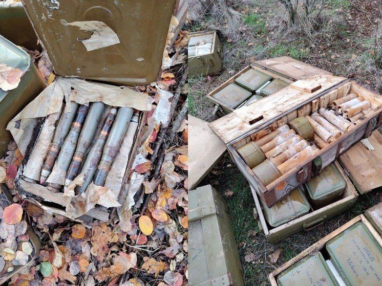 В Запорожской области полицейские обнаружили схрон с боеприпасами