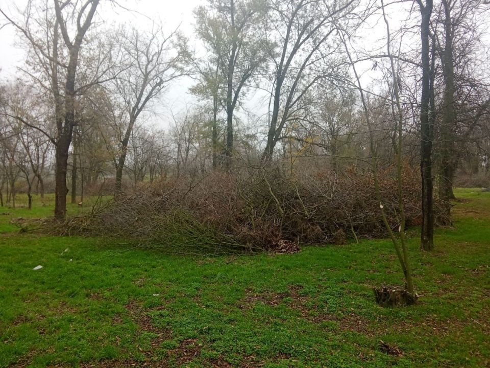 Продолжается благоустройство парковой зоны в поселке Трудовое