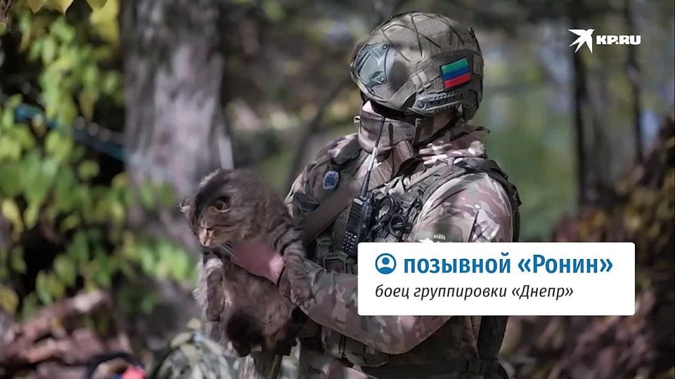 ��� ����� ������� �� ���������� �������: ������� ��� �� ��������� �������� �� �����
