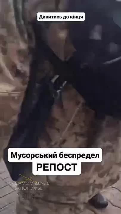 ����������� ���� ������ ����������� �����! ������� ������, �������!