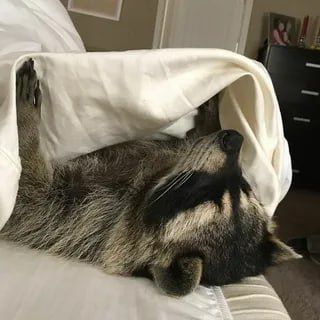 ������ ����, ������� ����������! ������ ����, ���������!