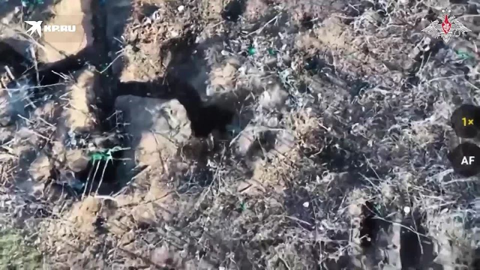 �������������� 5-� ��������� ����������� �������� ������� ����������� ������� ���������� ���������� ����� ���������