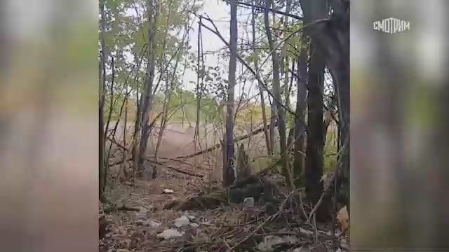 "����� �����, �����������, �������� ������� �� � ������ � ������������� �� ������� ���