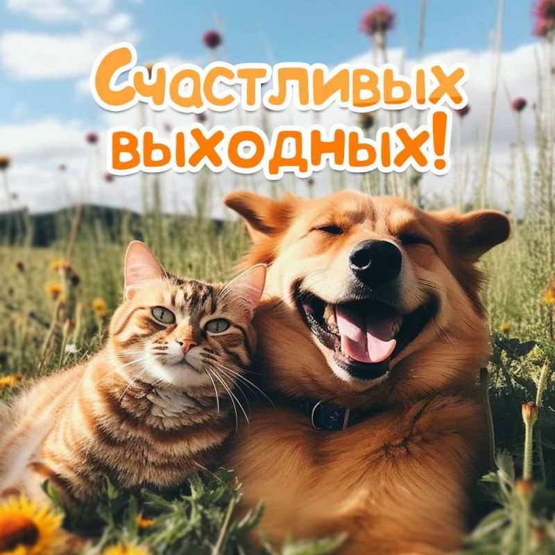 Друзья!. Отправляемся на выходные! Путь пройдут они мирно и спокойно, в кругу дорогих сердцу людей! Увидимся обязательно)) Подписывайтесь на: