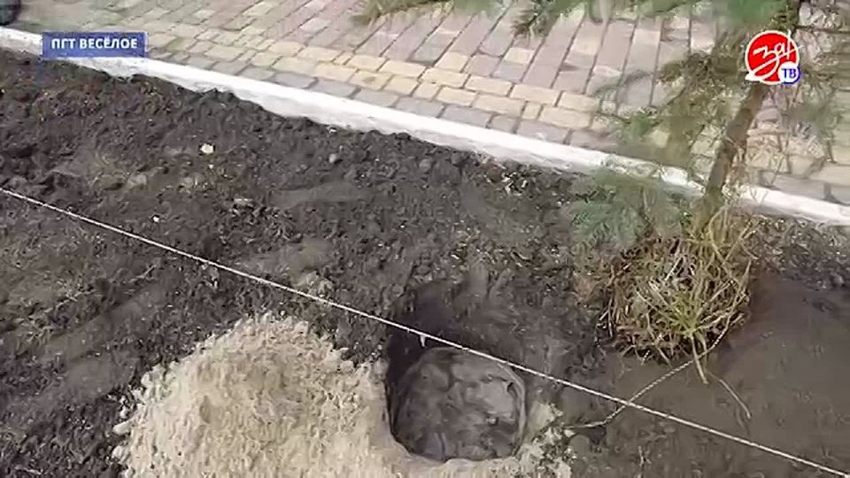 � ������ ������ �������� ����� ������� ����