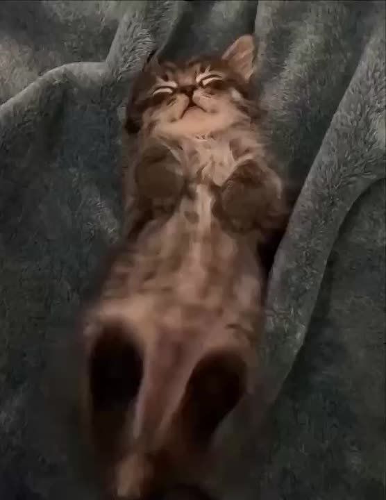 ������� ������ �������� � ����������