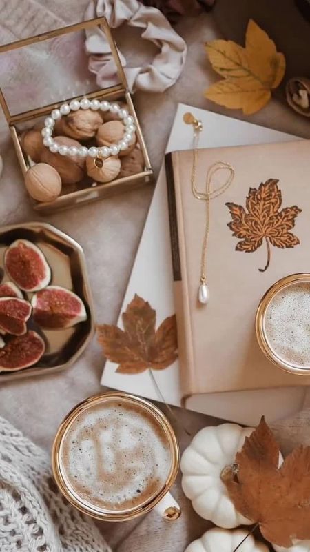 14 ноября 2025 года