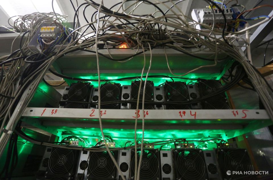 � ���� �������� ����������� ������ �������� �����������