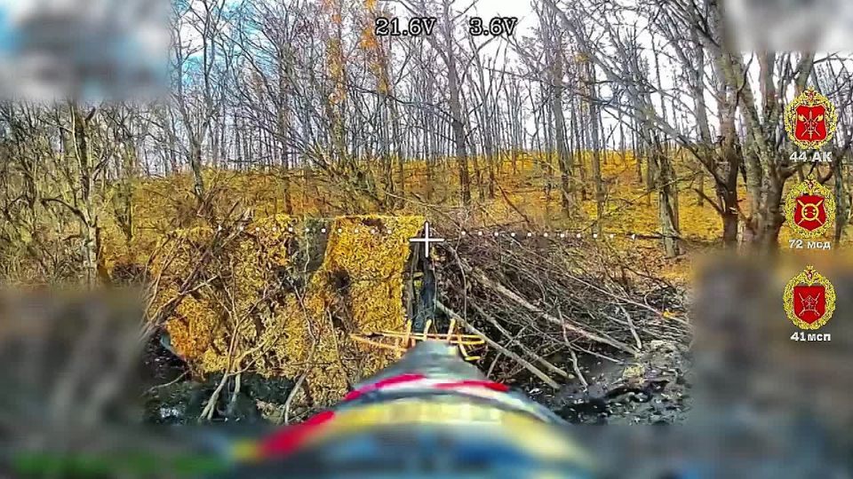 ������ ���� 41 ��� 44 ���������� ������� ������ � ��������� ��� ���������� ��������, ��������� ��������������� � ������ ������� ����� ���������