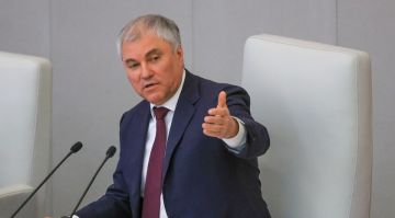 В Госдуме обсудили запрет продажи несовершеннолетним продукции, имитирующей алкоголь