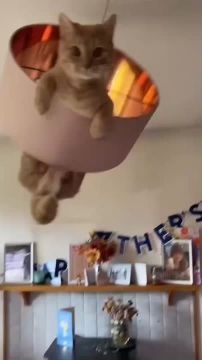 Бодро начинаем выходные. А какие у вас планы на эти два дня? Подписывайтесь на Запорожский вестник в Telegram и ВКонтакте и делитесь с близкими