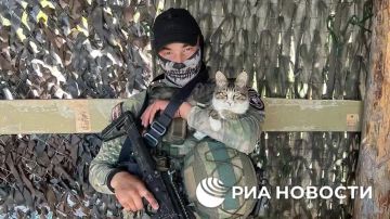      ""    -    ,            ,  ...