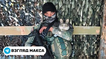 У бойцов группировки российских войск «Восток», которые держат оборону на запорожском направлении, появился необычный напарник