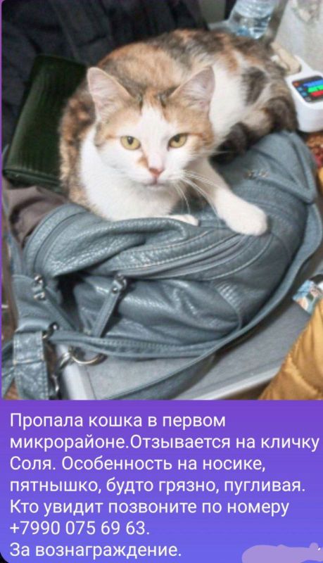 Наш канал. Наш чат Прислать фото или новость Справочник Днепрорудного