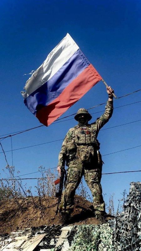     ,   :   900 ,      BILD и