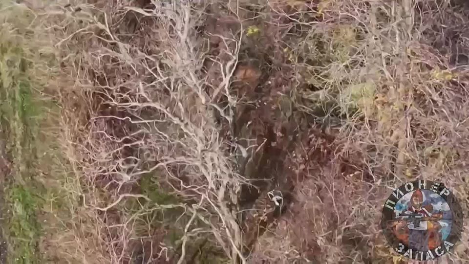 ������ 247 ����� ��� ����������� ������ ���������� � ������ �.�. �����������, ����������� �����������