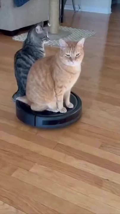 �������� ���������� �����������