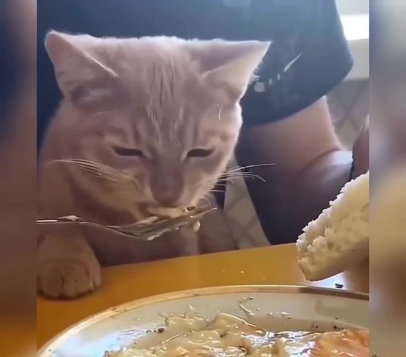 � ��� � ����� ������� ������