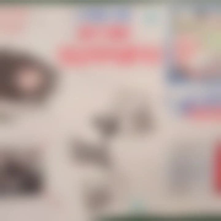 С воспитанникам МБУ ДО «Днепрорудненская детская школа искусств» Васильевского муниципального округа провели познавательную беседу на тему «Терроризм — зло для всей планеты»