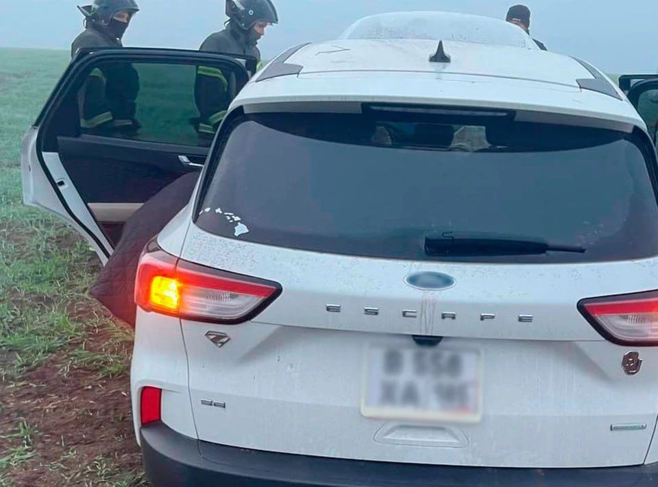 В Запорожской области двое детей пострадали в ДТП