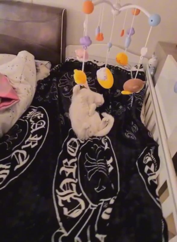 А вот и вечер. Удобно укладываемся и спим