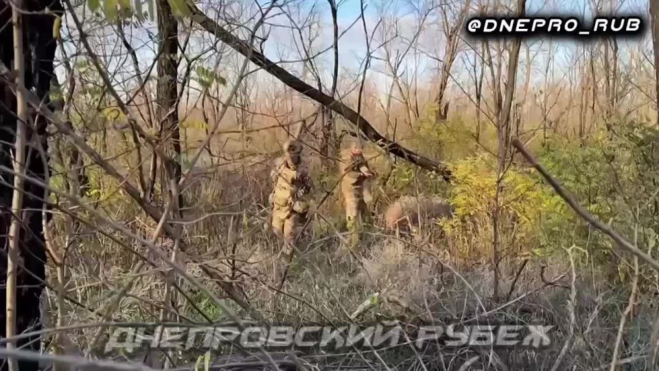 ���������� 98 ��. ��� ��� ������ ���������� ���� ���������� �� ��������� �����������