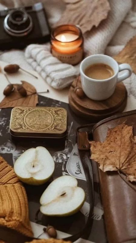 17 ноября 2025 года