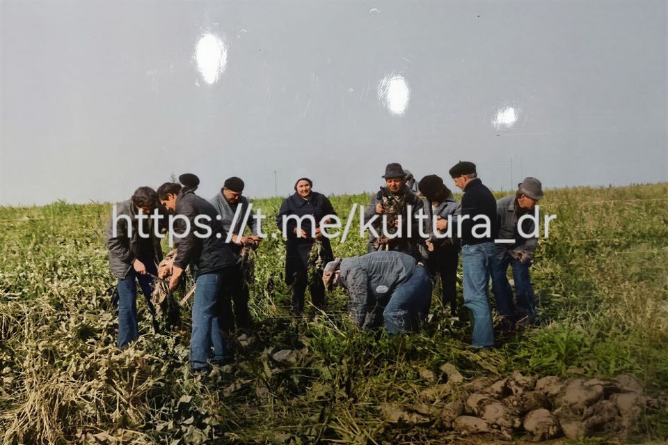 Рубрика выходного дня "Привет из прошлого"!