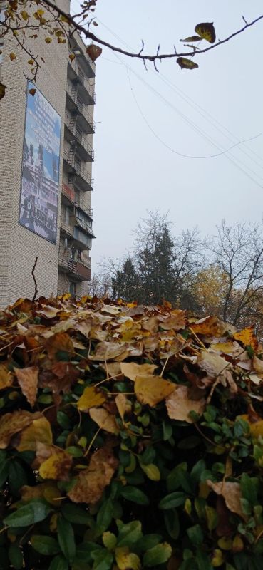 Доброго утра! Пусть вместе с ним придёт и вдохновение, пусть раннее солнце подарит хорошее настроение и уверенность в том, что всё будет чудесно